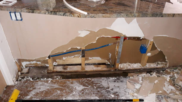 Water damage restoration mold remediation in MS