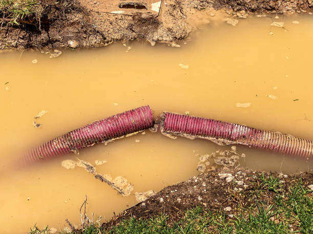 Best Water damage restoration specialists  in Horn Lake, MS